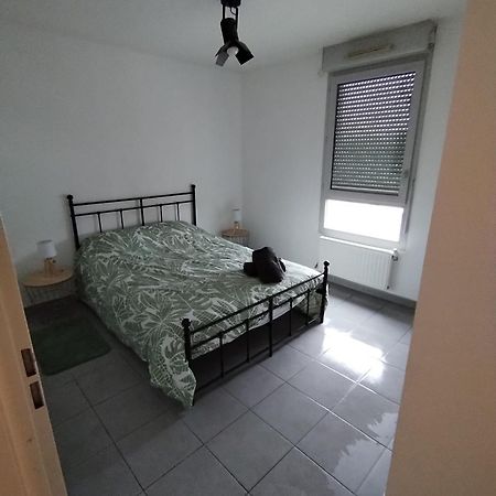 Appartement Cosyf4 à Toulouse Extérieur photo
