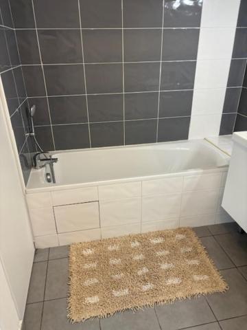 Appartement Cosyf4 à Toulouse Extérieur photo